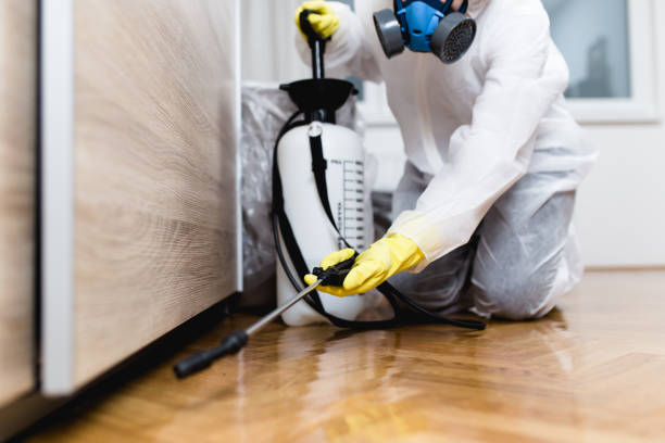 Best Affordable Pest Control Services  in Decorah, IA