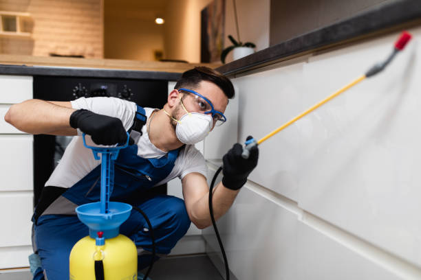 Reliable Decorah, IA Pest Control Solutions