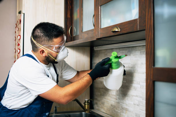 Best Wasp Removal Services  in Decorah, IA