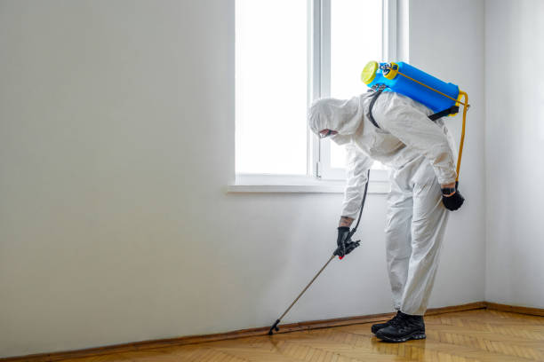 Best Cockroach Control Services  in Decorah, IA